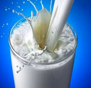 Theo nghiên cứu dài kỳ ở 3.000 người dư thừa trọng lượng, các nhà khoa học Canada phát hiện thấy thực đơn giàu sữa, giảm tới 70% tình trạng kháng insulin (dấu hiệu tiền đái tháo đường) so với nhóm không ăn sữa. Lợi thế của nhóm thực phẩm này là lactose, một loại protein có tác dụng làm giảm đường huyết thông qua quá trình làm chậm cơ chế chuyển hóa đường thực phẩm thành đường huyết.