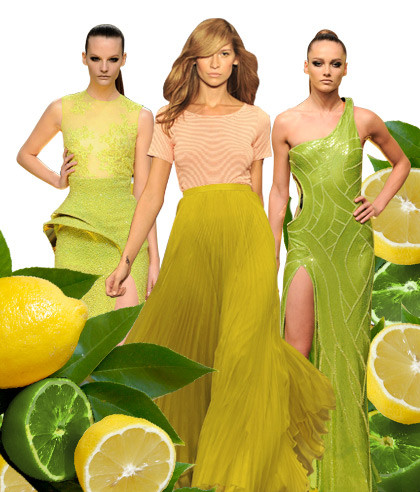 Màu vàng chanh xuất hiện với đầy đủ sắc thái đậm, nhạt khác nhau.