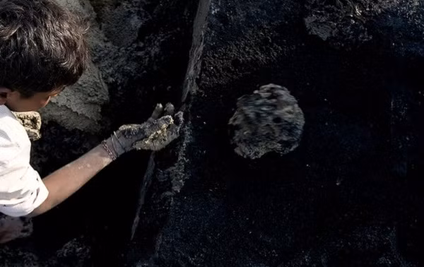 Những hậu duệ người Harappa đến giờ vẫn giữ truyền thống làm gạch bằng tay, tuy nhiên, phần nhiều thợ làm gạch đã di cư xuống khu vực phía Nam, tiếp tục hành nghề tại bang Andhra Pradesh. Những hậu duệ người Harappa đến giờ vẫn giữ truyền thống làm gạch bằng tay, tuy nhiên, phần nhiều thợ làm gạch đã di cư xuống khu vực phía Nam, tiếp tục hành nghề tại bang Andhra Pradesh.