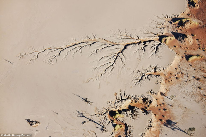 Sa mạc Sossusvlei, Namibia.