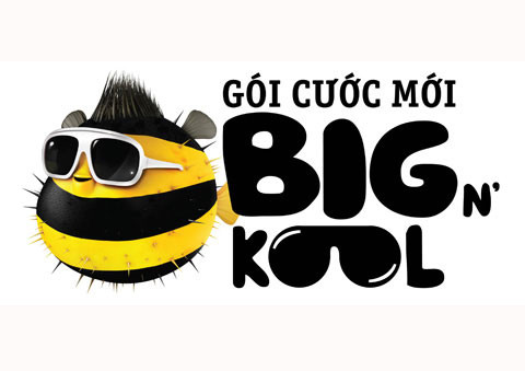 Đến đầu năm 2010, Beeline tiếp tục giới thiệu tiếp sản phẩm thứ hai là gói cước Big&Kool. Với nhiều ưu đãi hấp dẫn của Big Zero và Big&Kool như cước 0 đồng từ phút thứ hai, gọi trong nước giá 990 đồng mỗi phút hay tặng 50% giá trị thẻ nạp trong suốt quá trình sử dụng. Đến đầu năm 2010, Beeline tiếp tục giới thiệu tiếp sản phẩm thứ hai là gói cước Big&Kool. Với nhiều ưu đãi hấp dẫn của Big Zero và Big&Kool như cước 0 đồng từ phút thứ hai, gọi trong nước giá 990 đồng mỗi phút hay tặng 50% giá trị thẻ nạp trong suốt quá trình sử dụng.