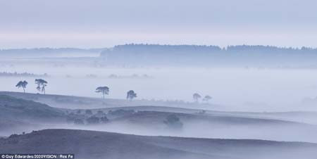 Vẻ đẹp huyền bí ở rừng công viên quốc gia ở Hampshire. Vẻ đẹp huyền bí ở rừng công viên quốc gia ở Hampshire.
