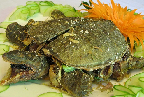 7. Chữa sỏi thận: Dùng bạch cập 50g; mai ba ba 20g; kim tiền thảo 15g; sài hồ 15g; địa cốt bì 15g; sinh địa 20g. Sắc uống ngày 1 thang chia làm 3 lần, uống liền 5 đến 7 ngày. 7. Chữa sỏi thận: Dùng bạch cập 50g; mai ba ba 20g; kim tiền thảo 15g; sài hồ 15g; địa cốt bì 15g; sinh địa 20g. Sắc uống ngày 1 thang chia làm 3 lần, uống liền 5 đến 7 ngày.