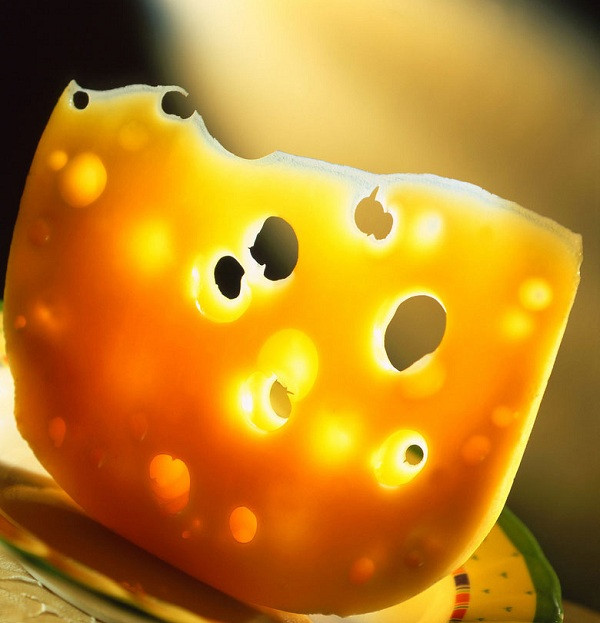 Để làm nên những thanh phô mai tuyệt hảo, người ta sử dụng khuẩn liên cầu S. thermophilus với trực khuẩn Lactobacillus bởi 2 loại khuẩn này có mối quan hệ cộng sinh.Trực khuẩn Lactobacillus bẻ gãy protein trong sữa làm thức ăn cho liên cầu khuẩn, trong khi liên cầu S. thermophilus tạo ra axit formic và CO2 kích thích sự tăng trưởng của trực khuẩn. Cùng với nhau, chúng làm lên men sữa, chuyển hóa đường lactose thành acid lactic. Với một số enzyme cùng vài bước chế biến, sản phẩm cuối cùng sẽ là phô mai.