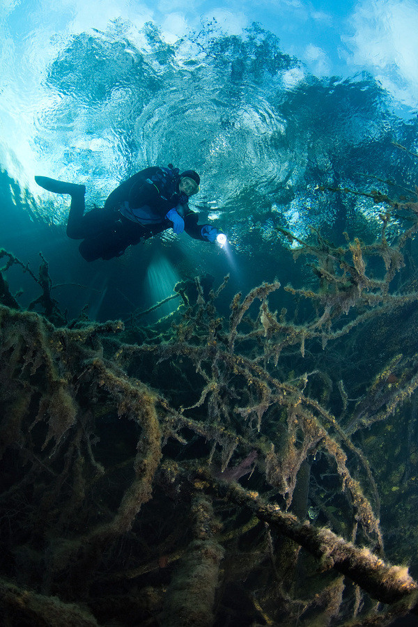 Tuy nhiên, gần đây, các nhà khoa học đã phát hiện nguyên nhân thực sự khiến cho nước hồ xanh quanh năm là do khí hydro sulfur (H2S) thoát ra từ đáy hồ và tạo cho nước hồ một mùi kỳ lạ đặc trưng. Tuy nhiên, gần đây, các nhà khoa học đã phát hiện nguyên nhân thực sự khiến cho nước hồ xanh quanh năm là do khí hydro sulfur (H2S) thoát ra từ đáy hồ và tạo cho nước hồ một mùi kỳ lạ đặc trưng.