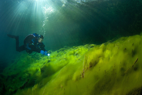 Thời xưa, người dân quanh hồ tin rằng, đáy hồ được bao phủ bởi lazurite, một loại khoáng chất màu xanh lam nên nước hồ mới luôn xanh như vậy. Trong ảnh là thảm thực vật ở dưới đáy hồ. Thời xưa, người dân quanh hồ tin rằng, đáy hồ được bao phủ bởi lazurite, một loại khoáng chất màu xanh lam nên nước hồ mới luôn xanh như vậy. Trong ảnh là thảm thực vật ở dưới đáy hồ.