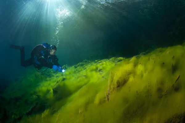 Thời xưa, người dân quanh hồ tin rằng, đáy hồ được bao phủ bởi lazurite, một loại khoáng chất màu xanh lam nên nước hồ mới luôn xanh như vậy. Trong ảnh là thảm thực vật ở dưới đáy hồ.