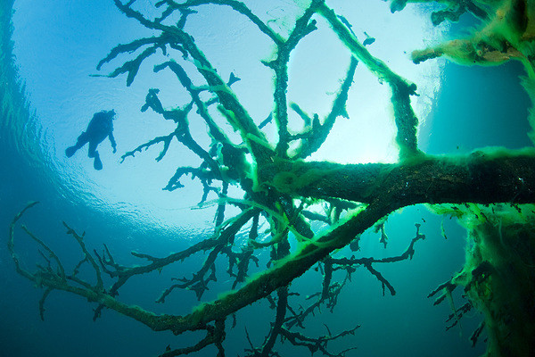 Trong tiếng Nga, Goluboe có nghĩa là màu xanh lam. Sở dĩ nó có tên gọi này bởi nước hồ luôn có màu lam nhạt, kể cả khi bầu trời u ám. Trong tiếng Nga, Goluboe có nghĩa là màu xanh lam. Sở dĩ nó có tên gọi này bởi nước hồ luôn có màu lam nhạt, kể cả khi bầu trời u ám.