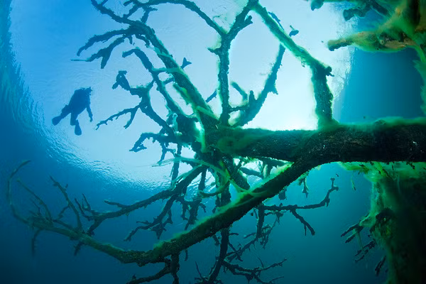 Trong tiếng Nga, Goluboe có nghĩa là màu xanh lam. Sở dĩ nó có tên gọi này bởi nước hồ luôn có màu lam nhạt, kể cả khi bầu trời u ám.