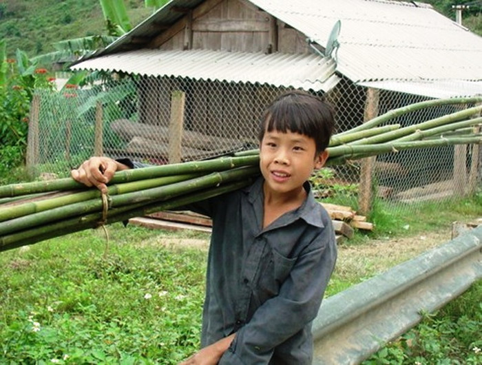 Trong khi đó, đối với trẻ em miền núi, những vùng sâu, vùng xa ở lứa tuổi này các em phải đi rừng, đi nương giúp gia đình, giúp cho cuộc sống đỡ vất vả hơn. Trong khi đó, đối với trẻ em miền núi, những vùng sâu, vùng xa ở lứa tuổi này các em phải đi rừng, đi nương giúp gia đình, giúp cho cuộc sống đỡ vất vả hơn.