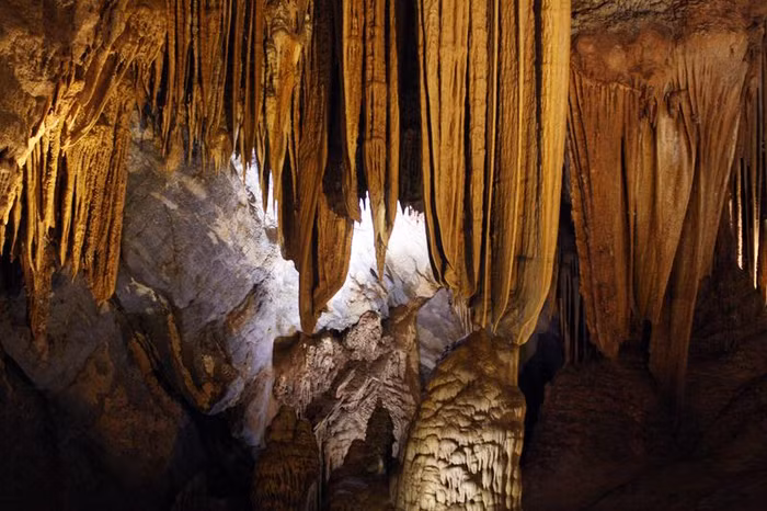 Hệ thống thạch nhũ trong động vô cùng phong phú và đa dạng về hình hài, màu sắc. Càng đi sâu vào trong, trí tò mò và sáng tạo của du khách càng được phát huy.