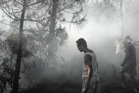 Người dân và các cơ quan chức năng đang tìm cách dập lửa Người dân và các cơ quan chức năng đang tìm cách dập lửa