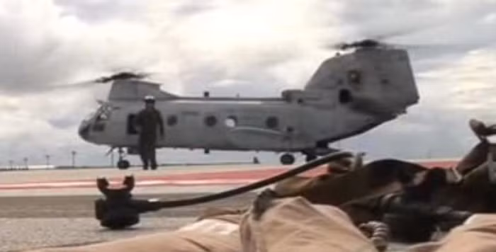 Nhật-Mỹ tăng cường khả năng tác chiến liên hợp. Trong hình là Nhật-Mỹ diễn tập đoạt đảo ở Guam, mô phỏng tình huống đảo Senkaku bị xâm lược.