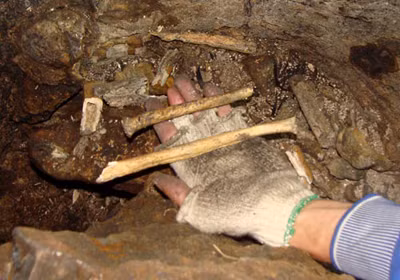 Không ai biết bể xương này sâu đến đâu. Chưa có một cuộc nghiên cứu nào được tiến hành, vì thế, tất cả ý kiến của các nhà khoa học đưa ra đều chỉ dừng ở mức phỏng đoán, chứ không có căn cứ chính xác. Nhưng những bí mật của hang, những câu chuyện kỳ bí về bể xương khổng lồ khiến nhiều người phải run sợ. Ảnh: Cận cảnh một phần xương trong hang. Không ai biết bể xương này sâu đến đâu. Chưa có một cuộc nghiên cứu nào được tiến hành, vì thế, tất cả ý kiến của các nhà khoa học đưa ra đều chỉ dừng ở mức phỏng đoán, chứ không có căn cứ chính xác. Nhưng những bí mật của hang, những câu chuyện kỳ bí về bể xương khổng lồ khiến nhiều người phải run sợ. Ảnh: Cận cảnh một phần xương trong hang.