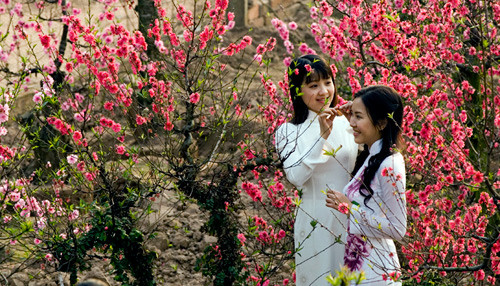 Minh triết mùa xuân ảnh 1