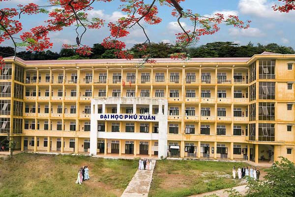 Quản trị đại học công lập gắn với tự do học thuật như thế nào? ảnh 3 Quản trị đại học công lập gắn với tự do học thuật như thế nào? ảnh 3