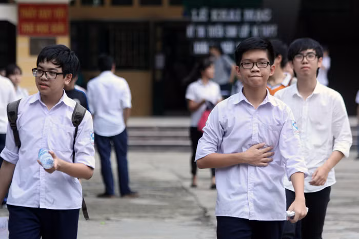 Giảng viên đại học bình luận đề thi Ngữ văn kỳ thi Quốc gia năm 2015 ảnh 3