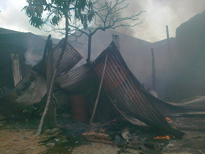 Cây cối xung quanh nhà xưởng khô đét vì sức nóng của đám cháy.