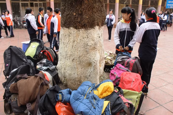 Chùm ảnh: Đổi giờ học, nên mới thế này đây! ảnh 3