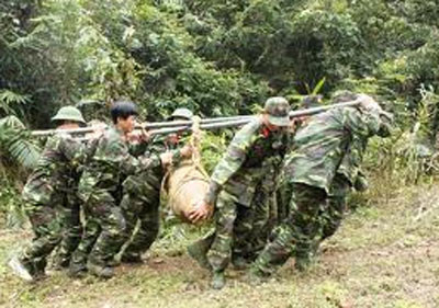 Ảnh minh họa. Nguồn: Internet.