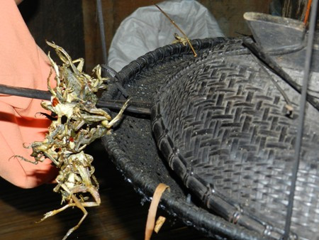 Thức ăn của người dân tộc H'rê ở Ba Điền chủ yếu là rau, muối, lâu lâu mới có cá, nên nhái bén gác giàn bếp được dùng để "cải thiện" bữa ăn. Xem thêm: "Quên" 10 điều kiêng kỵ khi uống trà, hiểm họa khôn lường / Điểm mặt những loài hoa quả đẹp nhưng có nhiều độc tố gây nguy hiểm