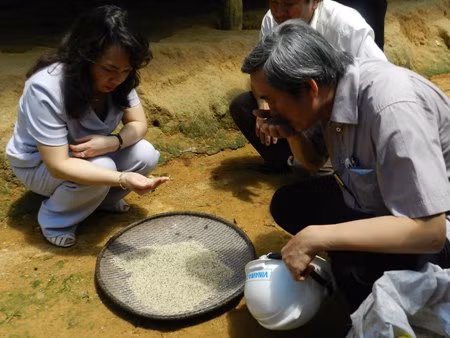 Gạo ủ, vừa được ngành y tế đổi tên thành gạo mốc - loại lương thực truyền thống của người dân nơi đây - đang bị nghi ngờ là tác nhân gây ra "bệnh lạ". Xem thêm: "Quên" 10 điều kiêng kỵ khi uống trà, hiểm họa khôn lường / Điểm mặt những loài hoa quả đẹp nhưng có nhiều độc tố gây nguy hiểm