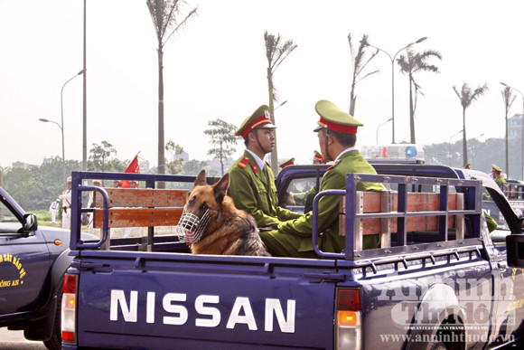 Huấn luyện chó nghiệp vụ - nhiệm vụ đặc biệt của lực lượng CSBV cũng tham gia hội thao Huấn luyện chó nghiệp vụ - nhiệm vụ đặc biệt của lực lượng CSBV cũng tham gia hội thao