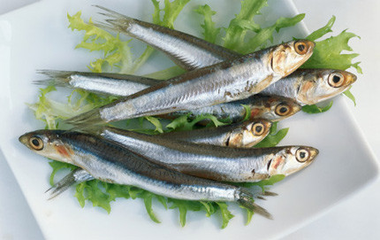 Cá mòi: Omêga 3 trong cá mòi có tác dụng bảo vệ tim mạch. Ngoài ra, phốt-pho, can-xi, vitamin B3 có trong loại cá này rất tốt cho xương và ngăn chặn các triệu chứng mệt mỏi. Cá mòi là thực phẩm bạn không nên bỏ qua trong mùa hè này. Xem thêm: Những thực phẩm cực tốt giúp thanh nhiệt, giải độc trong mùa hè / Thực phẩm thiết yếu khai thông "trí, lực" cho mùa thi cử