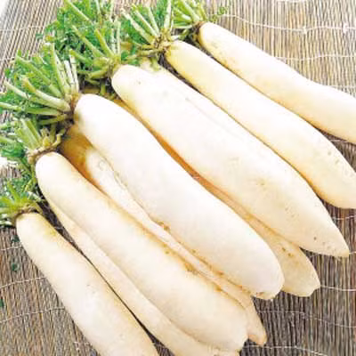 Củ cải đường: Củ cải đường có đầy đủ vitamin B3, B6, C và beta-carotene. Đây cũng là một nguồn phong phú sắt, kẽm, magiê và canxi giúp hỗ trợ việc phá vỡ và loại bỏ độc tố và cũng có thể cải thiện túi mật và tăng cường sức khỏe gan. Củ cải đường cũng là một nguồn chất xơ dồi dào, rất cần thiết cho mùa hè. Xem thêm: Những thực phẩm cực tốt giúp thanh nhiệt, giải độc trong mùa hè / Thực phẩm thiết yếu khai thông "trí, lực" cho mùa thi cử