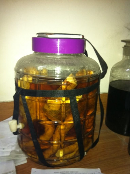 Công dụng: bổ tỳ, giúp tiêu hóa tốt. Trong đó bạch truật, đinh lăng, cam thảo tăng cường chức năng tiêu hóa của tỳ vị; kê huyết đằng hoạt huyết dưỡng huyết. Xem thêm: Ruợu rắn: "thần dược" hay "thuốc độc"? / Những món ăn dân dã cực tốt cho sức khỏe (P7)