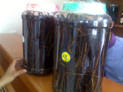 Rượu sâm hành, cát cánh, cam thảo: Cách ngâm: sâm hành 30g, cát cánh 30g, cam thảo 25g, mạch môn 30g, ngũ vị 25g. Sâm hành sao thơm trước khi ngâm. Các vị cho vào bình thủy tinh, thêm vào 1.500ml rượu, ngâm khoảng 10 ngày là được. Xem thêm: Ruợu rắn: "thần dược" hay "thuốc độc"? / Những món ăn dân dã cực tốt cho sức khỏe (P7)