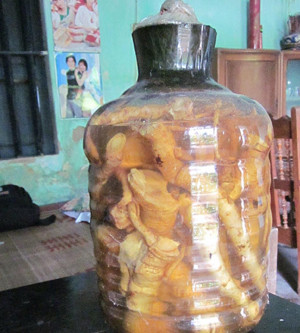 Rượu bạch truật, đinh lăng, huyết đằng: Cách ngâm: bạch truật 30g, củ đinh lăng 30g, cam thảo 30g, kê huyết đằng 20g, hồng sâm 30g. Các vị thái lát rồi bỏ vào bình sành, đổ thêm 1500ml rượu trắng ngâm khoảng 10 ngày là dùng được. Xem thêm: Ruợu rắn: "thần dược" hay "thuốc độc"? / Những món ăn dân dã cực tốt cho sức khỏe (P7)