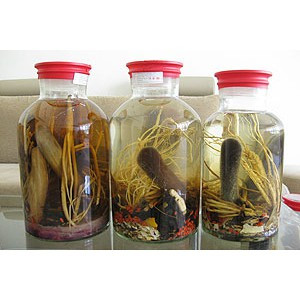 Cách ngâm: cho tất cả những nguyên liệu trên vào bình, rồi đổ rượu vào để ngâm, đậy kín lại. Một tháng sau thì gạn lọc, lấy nước dùng. Bài rượu này có tác dụng bổ ích khí huyết, hiệu nghiệm thấy rõ đối với các chứng như: suy nhược lâu ngày ăn kém, mất sức, ra mồ hôi trộm, mất ngủ, choáng váng, đau lưng... Xem thêm: Ruợu rắn: "thần dược" hay "thuốc độc"? / Những món ăn dân dã cực tốt cho sức khỏe (P7)