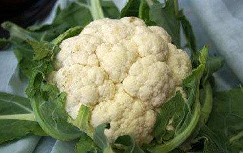 Còn theo nghiên cứu thuộc viện Ung thư Mỹ, ăn nhiều các loại rau có màu xanh sậm và thuộc họ cải, đặc biệt là bông cải và hoa lơ, sẽ có tác dụng làm giảm nguy cơ mắc bệnh ung thư tiền liệt tuyến. Còn theo nghiên cứu thuộc viện Ung thư Mỹ, ăn nhiều các loại rau có màu xanh sậm và thuộc họ cải, đặc biệt là bông cải và hoa lơ, sẽ có tác dụng làm giảm nguy cơ mắc bệnh ung thư tiền liệt tuyến.