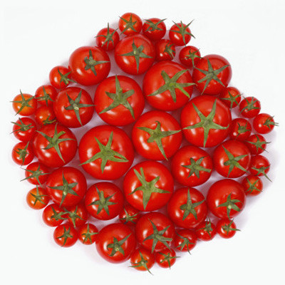 Cà chua: Lycopen, chất chống oxy hóa dồi dào trong cà chua, giúp nam giới phòng ngừa được bệnh ung thư tiền liệt tuyến. Các nhà khoa học thuộc trường ĐH Harvard nghiên cứu về tập quán ăn uống của 47.000 quý ông. Kết quả cho thấy những người dùng nhiều cà chua sẽ giảm được 35% nguy cơ bị ung thư tiền liệt tuyến. Cà chua: Lycopen, chất chống oxy hóa dồi dào trong cà chua, giúp nam giới phòng ngừa được bệnh ung thư tiền liệt tuyến. Các nhà khoa học thuộc trường ĐH Harvard nghiên cứu về tập quán ăn uống của 47.000 quý ông. Kết quả cho thấy những người dùng nhiều cà chua sẽ giảm được 35% nguy cơ bị ung thư tiền liệt tuyến.