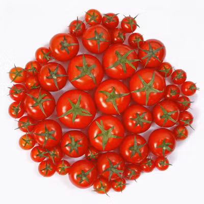 Cà chua: Lycopen, chất chống oxy hóa dồi dào trong cà chua, giúp nam giới phòng ngừa được bệnh ung thư tiền liệt tuyến. Các nhà khoa học thuộc trường ĐH Harvard nghiên cứu về tập quán ăn uống của 47.000 quý ông. Kết quả cho thấy những người dùng nhiều cà chua sẽ giảm được 35% nguy cơ bị ung thư tiền liệt tuyến.