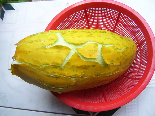 Dưa gang rất mát, có tác dụng thanh nhiệt rất tốt nên sẽ giúp bạn thật sảng khoái lại còn có tác dụng tốt với chị em phụ nữ giữ gìn làn da tươi mát trong mùa hè. Cách chế biến thì cực kỳ đơn giản: bạn chỉ việc gọt vỏ trái dưa bỏ vào một cái dĩa nhỏ sau đó cho thêm nước đường đã thắng kèo kẹo, thêm một tí nước cốt dừa sống lên mặt kèm tí đá nhuyễn bạn đã có được món ăn mùa hè mát lạnh. Xem thêm: Những loại thực phẩm cực tốt cho ‘đấng mày râu’ (P2)/Gia cầm và những tác dụng cực tốt đối với sức khỏe