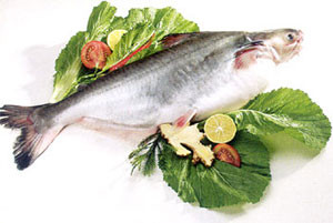 Đặc biêt, DHA có tác dụng chuyển hóa cholesterol thành những dẫn xuất không gây tắc mạch máu, làm giảm các chứng loạn đập tim, đau bụng kinh ở phụ nữ và tiền sản giật. Xem thêm: Những loại cá nước ngọt cực tốt cho sức khỏe/ Những loài hoa tốt cho sức khỏe Đặc biêt, DHA có tác dụng chuyển hóa cholesterol thành những dẫn xuất không gây tắc mạch máu, làm giảm các chứng loạn đập tim, đau bụng kinh ở phụ nữ và tiền sản giật. Xem thêm: Những loại cá nước ngọt cực tốt cho sức khỏe/ Những loài hoa tốt cho sức khỏe