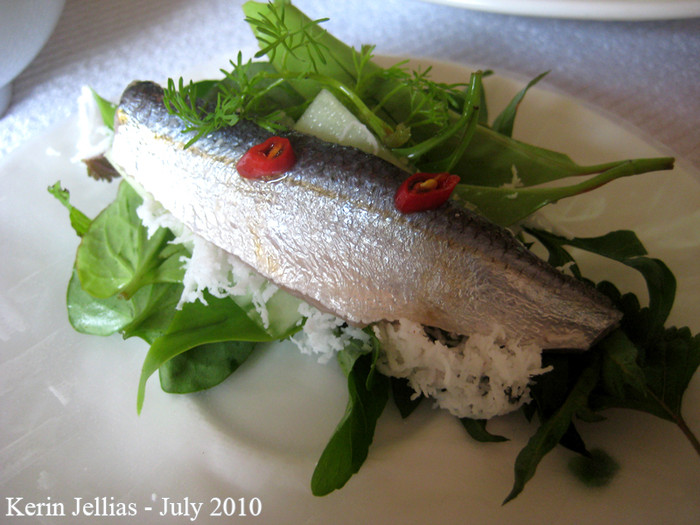 Ngoài Việt Nam, cá trích còn là nguyên liệu của những món ăn thông dụng của các nước trên thế giới. Mắm cá trích là món ăn ở châu Âu và đã trở thành một phần của khẩu phần vùng Baltic, Scandinavia, Đức, Đông Slav, cá trích cũng phổ biến trong ẩm thực của người Do Thái. Cá trích hun khói là một bữa ăn truyền thống của Đan Mạch trên đảo trong biển Baltic, Bornholm… Xem thêm: Những loại cá nước ngọt cực tốt cho sức khỏe/ Những loài hoa tốt cho sức khỏe Ngoài Việt Nam, cá trích còn là nguyên liệu của những món ăn thông dụng của các nước trên thế giới. Mắm cá trích là món ăn ở châu Âu và đã trở thành một phần của khẩu phần vùng Baltic, Scandinavia, Đức, Đông Slav, cá trích cũng phổ biến trong ẩm thực của người Do Thái. Cá trích hun khói là một bữa ăn truyền thống của Đan Mạch trên đảo trong biển Baltic, Bornholm… Xem thêm: Những loại cá nước ngọt cực tốt cho sức khỏe/ Những loài hoa tốt cho sức khỏe