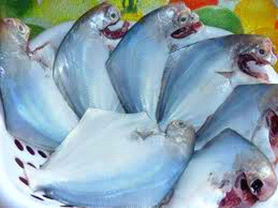 Thông thường, các thực phẩm đông lạnh đều được yêu cầu giữ ở -18 độ C vậy, khi mang về nhà bảo quản, thực phẩm đông lạnh dễ bị hỏng. Nếu khi chế biến, không chú ý có thể gây ngộ độc do thực phẩm đã biến chất và sự phát triển trở lại của vi khuẩn. Bởi vậy, khi sử dụng phải hết sức chú ý để tránh ảnh hưởng đến sức khỏe. Xem thêm: Những loại cá nước ngọt cực tốt cho sức khỏe/ Những loài hoa tốt cho sức khỏe Thông thường, các thực phẩm đông lạnh đều được yêu cầu giữ ở -18 độ C vậy, khi mang về nhà bảo quản, thực phẩm đông lạnh dễ bị hỏng. Nếu khi chế biến, không chú ý có thể gây ngộ độc do thực phẩm đã biến chất và sự phát triển trở lại của vi khuẩn. Bởi vậy, khi sử dụng phải hết sức chú ý để tránh ảnh hưởng đến sức khỏe. Xem thêm: Những loại cá nước ngọt cực tốt cho sức khỏe/ Những loài hoa tốt cho sức khỏe