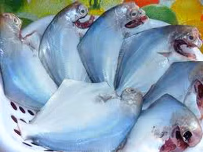 Thông thường, các thực phẩm đông lạnh đều được yêu cầu giữ ở -18 độ C vậy, khi mang về nhà bảo quản, thực phẩm đông lạnh dễ bị hỏng. Nếu khi chế biến, không chú ý có thể gây ngộ độc do thực phẩm đã biến chất và sự phát triển trở lại của vi khuẩn. Bởi vậy, khi sử dụng phải hết sức chú ý để tránh ảnh hưởng đến sức khỏe. Xem thêm: Những loại cá nước ngọt cực tốt cho sức khỏe/ Những loài hoa tốt cho sức khỏe Thông thường, các thực phẩm đông lạnh đều được yêu cầu giữ ở -18 độ C vậy, khi mang về nhà bảo quản, thực phẩm đông lạnh dễ bị hỏng. Nếu khi chế biến, không chú ý có thể gây ngộ độc do thực phẩm đã biến chất và sự phát triển trở lại của vi khuẩn. Bởi vậy, khi sử dụng phải hết sức chú ý để tránh ảnh hưởng đến sức khỏe. Xem thêm: Những loại cá nước ngọt cực tốt cho sức khỏe/ Những loài hoa tốt cho sức khỏe