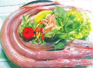 Các nghiên cứu gần đây cho thấy, cá chìa vôi có tác dụng tốt cho sức khỏe. Ví dụ như Nghiên cứu tại Trường Dược ĐH Triết Giang, Hàng Châu ghi nhận dịch chiết bằng alcol từ cá chìa vôi Syngnathus acus có các hoạt tính ức chế sự tăng trưỡng của các tế bào ung thư giòng KB, Hela… Xem thêm: Những thực phẩm cực tốt giúp thanh nhiệt, giải độc trong mùa hè / Những món ăn dân dã cực tốt cho sức khỏe (P7) Các nghiên cứu gần đây cho thấy, cá chìa vôi có tác dụng tốt cho sức khỏe. Ví dụ như Nghiên cứu tại Trường Dược ĐH Triết Giang, Hàng Châu ghi nhận dịch chiết bằng alcol từ cá chìa vôi Syngnathus acus có các hoạt tính ức chế sự tăng trưỡng của các tế bào ung thư giòng KB, Hela… Xem thêm: Những thực phẩm cực tốt giúp thanh nhiệt, giải độc trong mùa hè / Những món ăn dân dã cực tốt cho sức khỏe (P7)