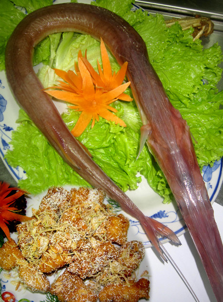 Cá chìa vôi:Loại cá này có cả ở nước ngọt và nước mặn (hay còn gội là các chìa vôi nước ngọt và cá chia vôi sông. Cá chìa vôi giông như cá hanh nhưng lơn hơn, mình dày, bụng to, đầu nhỏ, toàn thân từ vây đến vẩy là một màu vàng óng ánh. Đặc biệt trên sống lưng cá có một cái vây dài cứng thon nhọn y hệt cái chìa vôi. Chiếc vây này chính là vũ khi tự vệ của cá... Xem thêm: Những thực phẩm cực tốt giúp thanh nhiệt, giải độc trong mùa hè / Những món ăn dân dã cực tốt cho sức khỏe (P7) Cá chìa vôi:Loại cá này có cả ở nước ngọt và nước mặn (hay còn gội là các chìa vôi nước ngọt và cá chia vôi sông. Cá chìa vôi giông như cá hanh nhưng lơn hơn, mình dày, bụng to, đầu nhỏ, toàn thân từ vây đến vẩy là một màu vàng óng ánh. Đặc biệt trên sống lưng cá có một cái vây dài cứng thon nhọn y hệt cái chìa vôi. Chiếc vây này chính là vũ khi tự vệ của cá... Xem thêm: Những thực phẩm cực tốt giúp thanh nhiệt, giải độc trong mùa hè / Những món ăn dân dã cực tốt cho sức khỏe (P7)