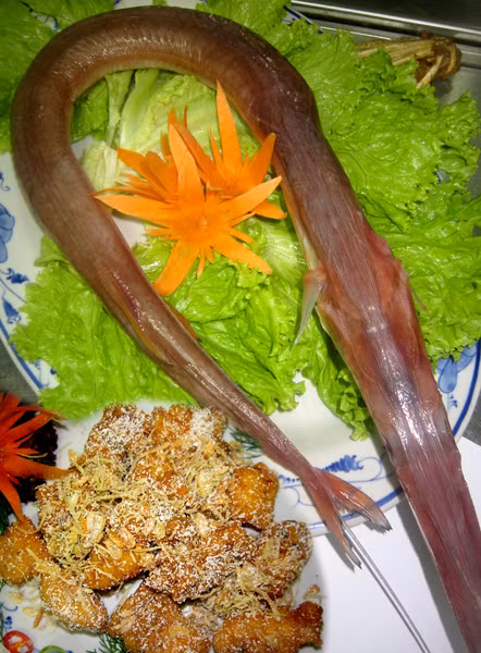 Cá chìa vôi:Loại cá này có cả ở nước ngọt và nước mặn (hay còn gội là các chìa vôi nước ngọt và cá chia vôi sông. Cá chìa vôi giông như cá hanh nhưng lơn hơn, mình dày, bụng to, đầu nhỏ, toàn thân từ vây đến vẩy là một màu vàng óng ánh. Đặc biệt trên sống lưng cá có một cái vây dài cứng thon nhọn y hệt cái chìa vôi. Chiếc vây này chính là vũ khi tự vệ của cá... Xem thêm: Những thực phẩm cực tốt giúp thanh nhiệt, giải độc trong mùa hè / Những món ăn dân dã cực tốt cho sức khỏe (P7)