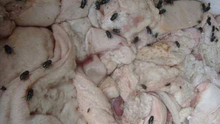 ...những người tiêu thụ không biết nguồn gốc, xuất xứ của những thực phẩm này khi sử dụng không chỉ mất vệ sinh an toàn thực phẩm mà còn ảnh hưởng nghiêm trọng đến sức khỏe bởi các hóa chất tẩy rửa. Xem thêm: Cách mua thịt lợn an toàn và không dùng chất cấm / Gà vàng, heo quay hấp dẫn "nhờ"... phẩm độc