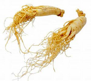 Cách sử dụng nhân sâm hiệu quả Cách sử dụng nhân sâm hiệu quả