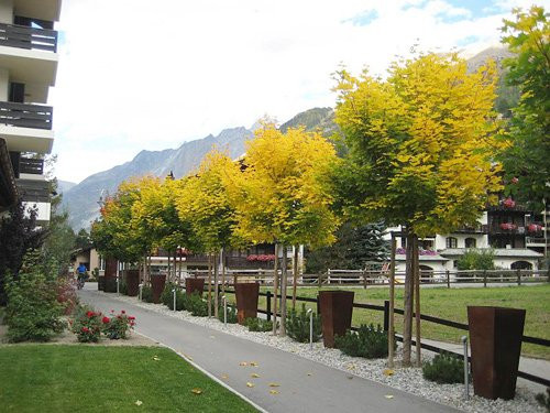 Trường nằm ở trung tâm thành phố Geneva, thành phố thương mại lớn thứ hai Thụy Sỹ, với sân bay quốc tế nối liền với các thành phố Châu Âu London, Paris, Milan và nhiều nước trên thế giới. Geneva là trụ sở của hơn 150 tổ chức trên toàn thế giới như United nations, World Health Organization, The European Free-Trde Asscociation, The World Trade Organization (WTO)… và hơn 108 ngân hàng quốc tế như HSBC repblic, City Bank, Deutsch Bank… và hơn 54 Ngân hàng Thụy Sỹ như Union Bank of Switzerland (UBS), Credit Suisse.