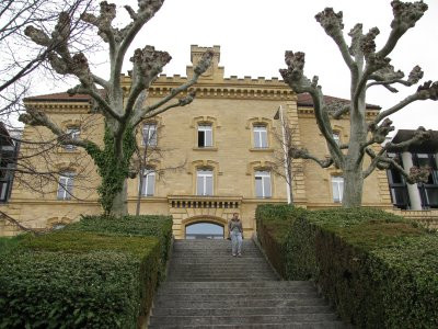 Trường Đại học Neuchatel có các khoa chính như : Khoa Học Nhân Văn, Khoa Học, Pháp luật, Kinh tế, và Thần Học và Tín Ngưỡng. Các chương trình Cử Nhân và Thạc sĩ được giảng dạy bằng tiếng Pháp trong khi bốn chương trình Thạc sĩ bằng tiếng Anh: Thạc sĩ Khoa Học Tài chính, Công Nghệ Truyền Thông Tin, Khoa Học Quản Trị Thống Kê, Luật Pháp, và Nhân Văn Thể Thao (gọi tắt là FIFA).