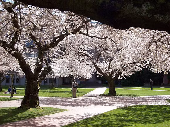 Vẻ đẹp của chúng không chỉ thu hút du khách mà còn là niềm cảm hứng của nhiều nhiếp ảnh gia.