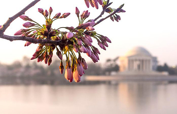 Hàng năm, có hàng triệu du khách tới đây tham quan và dự lễ hội